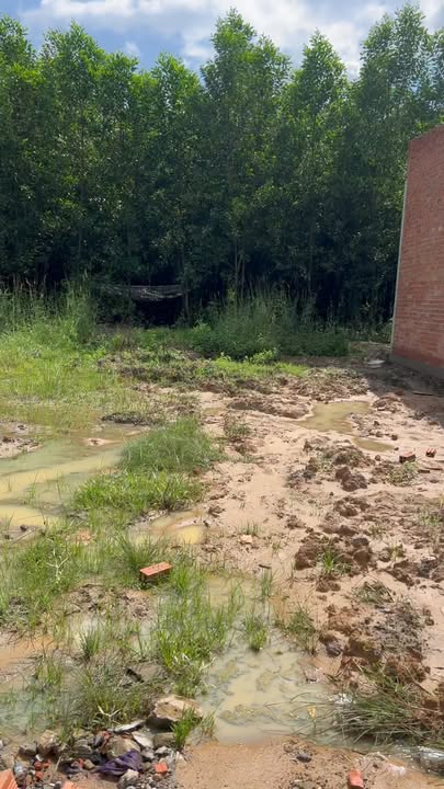 Đất nền thổ cư 90m² tại Bình Lợi, Vĩnh Cửu chỉ 939 triệu - Đầu tư sinh lời ngay!