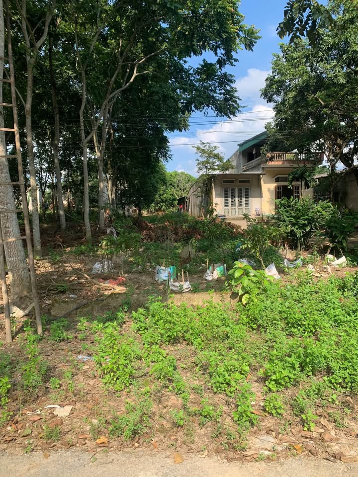 Đất thổ cư 448m² tại Quốc lộ 37, Thái Bình, Phù Ninh - Gần trung tâm thành phố 6KM!