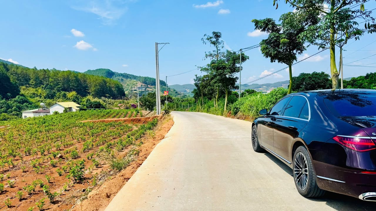 Lô đất nghỉ dưỡng Tà Nung, Đà Lạt 1000m² giá 6 tỷ - Cơ hội đầu tư hấp dẫn!