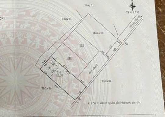 Đất nền đường Mai Hắc Đế, phường 6, Đà Lạt 82m² giá 4.3 tỷ - Cơ hội đầu tư tuyệt vời!