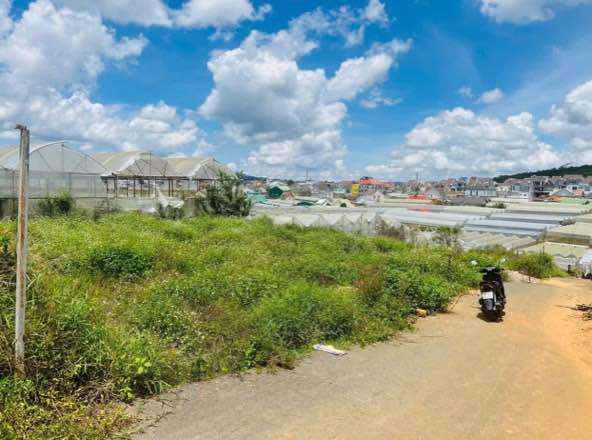 Đất nền 209m² Thái Phiên Đà Lạt giá chỉ 4.5 tỷ - Đầu tư sinh lời ngay!