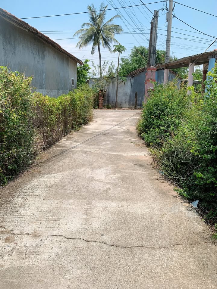 Đất nền Phú Hiệp 1, TX Đông Hòa 114,5m² - Giá đầu tư hấp dẫn!