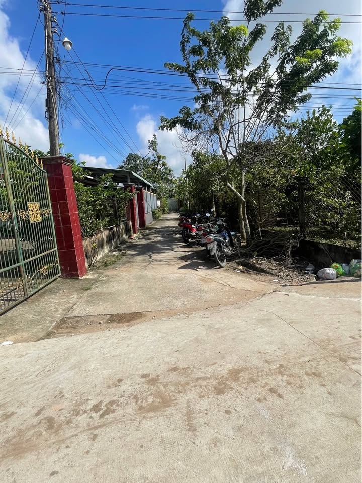 Đất hẻm 504, phường 4, Tân An 130m² giá 1.55 tỷ - Chính chủ cần bán gấp!