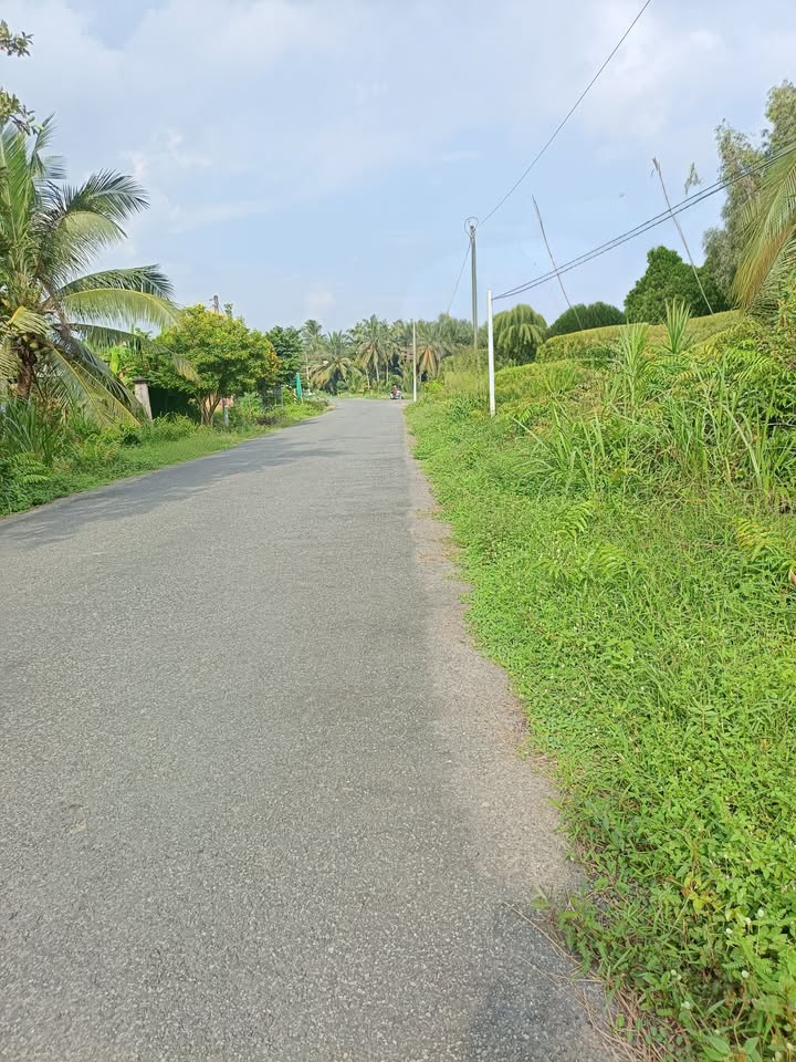 Đất thổ cư 400m² tại Trung Thành Đông, Vĩnh Long - Giá chỉ 3.028 tỷ!