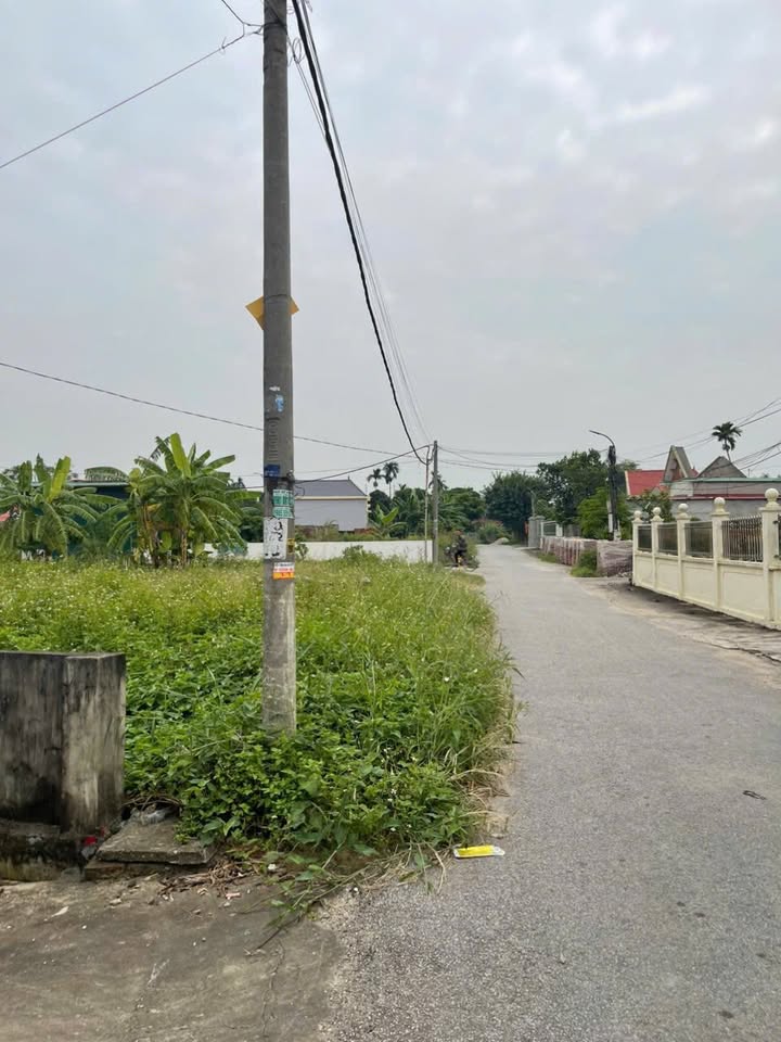 Đất nền Nghi Dương, Kiến Thụy 60,4m² giá thỏa thuận - Cơ hội đầu tư sinh lời!