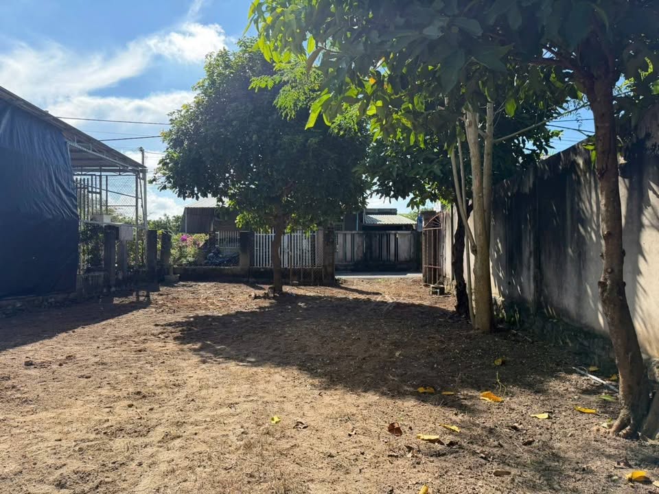 Đất nền Xã Hồ Tràm - 282m² chỉ 1.65 tỷ - Đầu tư sinh lời ngay!