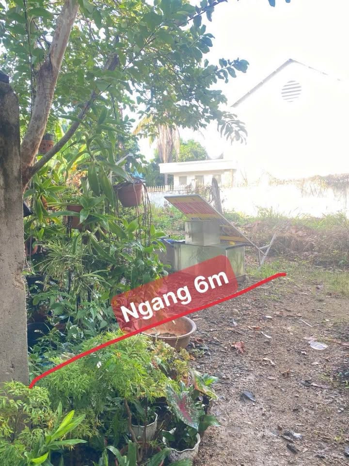 Đất Vĩnh Thạnh Nha Trang 93m² giá 1.6 tỷ - Đầu tư sinh lời ngay!