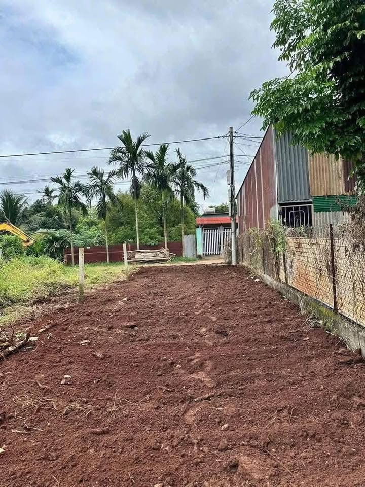 Đất nền Trần Hưng Đạo, Quảng Phú, Cư M'gar 150m² chỉ 1.28 tỷ - Cơ hội đầu tư tuyệt vời!