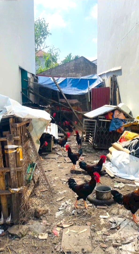 Đất thổ cư An Khánh 38m² giá 2 tỷ - Sổ đỏ chính chủ, ô tô đỗ cổng!