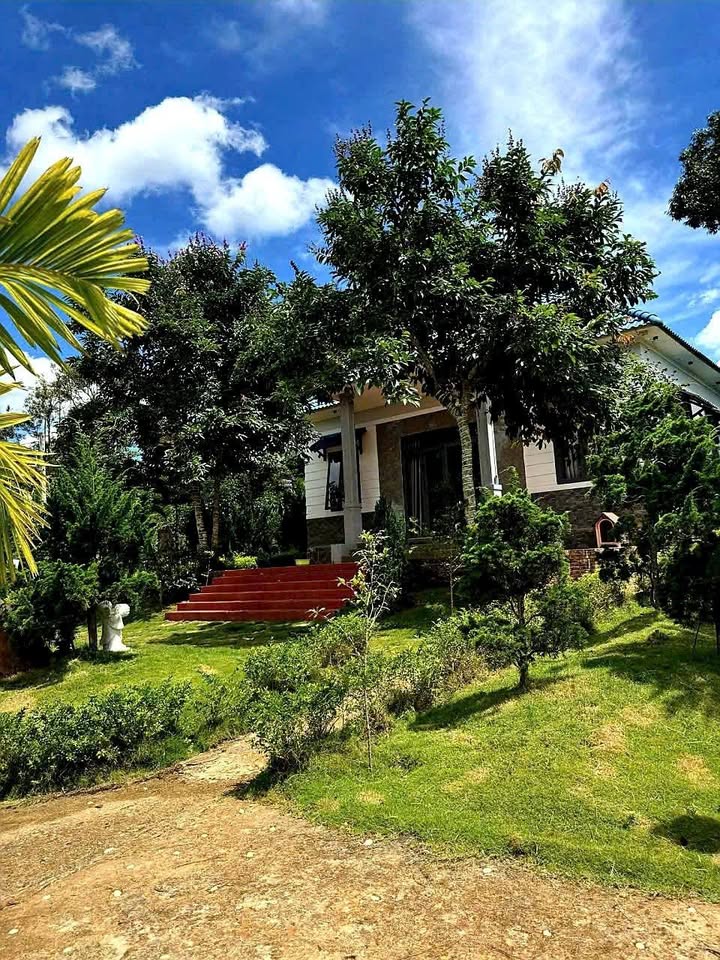 Nhà vườn Bảo Lộc 1500m² giá 5.1 tỷ - Đầu tư sinh lời hấp dẫn!