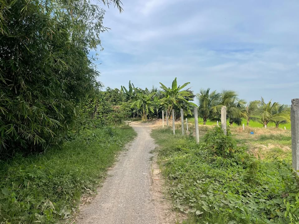 Bán đất Farm 17 công xã An Châu, Châu Thành - Cách TT An Châu chỉ 6km!