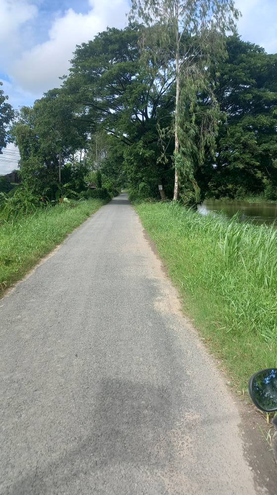 Bán đất ruộng Vĩnh Hanh, An Giang 24 công - Giá chỉ 921 triệu, đầu tư ngay!