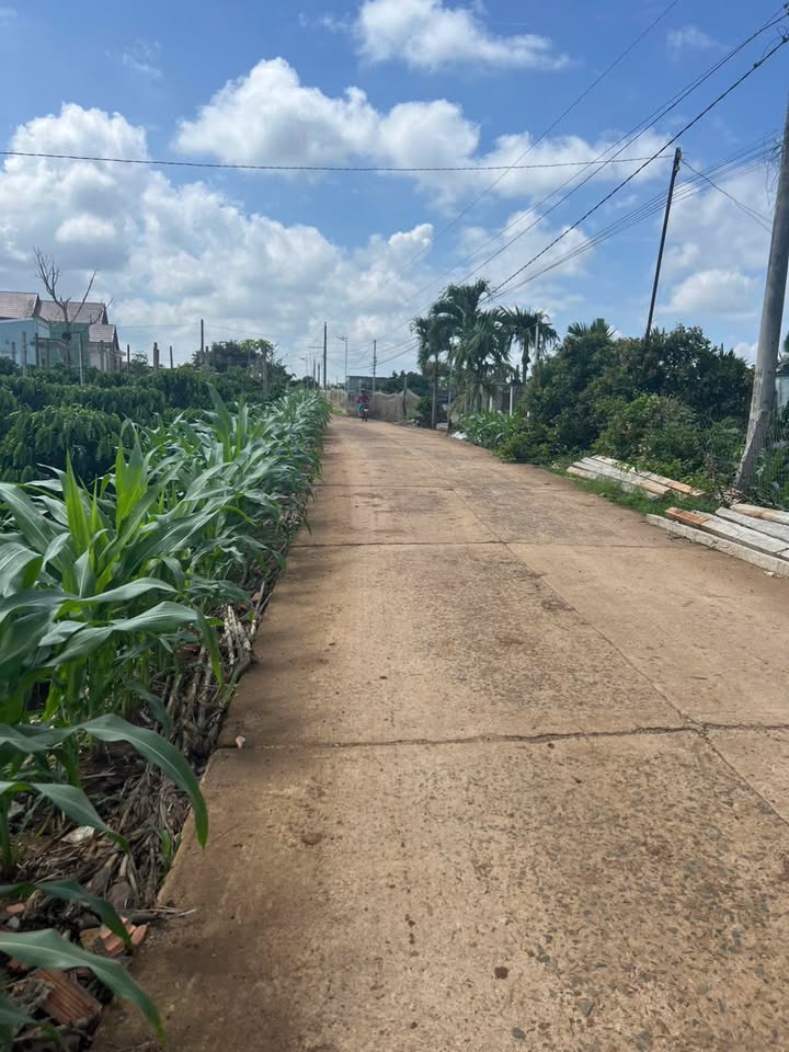 Đất thổ cư 2 mặt tiền Tân Hội, 225m² giá 900 triệu - View hồ tuyệt đẹp!