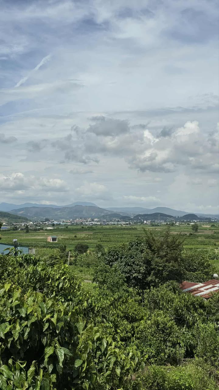 Đất mặt tiền đường nhựa Đinh Văn 2865m² giá chỉ 3.8 tỷ - Tiện ích đầy đủ!