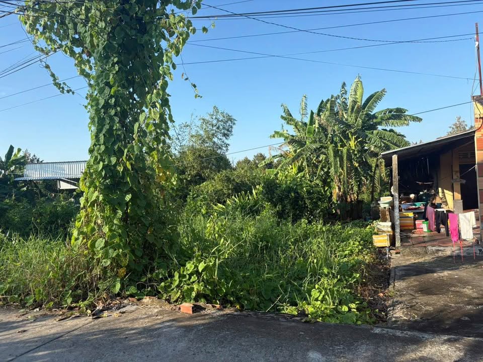 Đất nền xã Tân Thới, huyện Phong Điền, 674m² giá 1.07 tỷ - Đầu tư sinh lời!