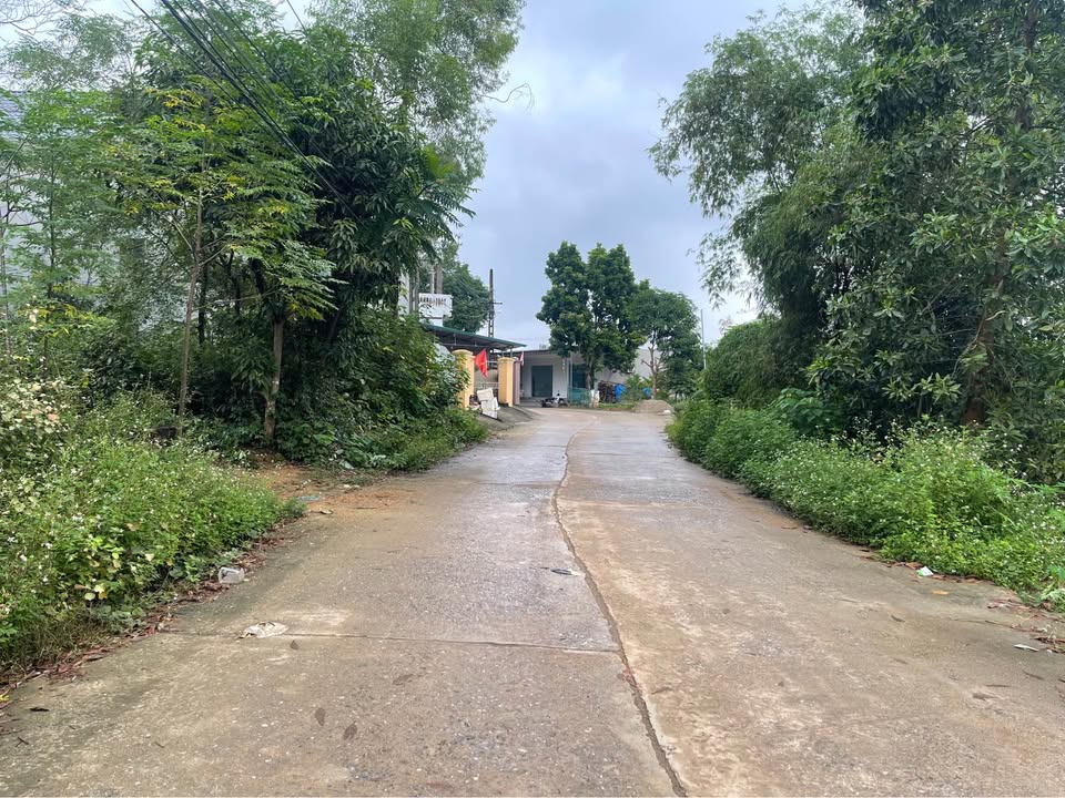 Đất nền Phù Ninh 90m² - Cách Quốc lộ 2 chỉ 200m, giá thỏa thuận!