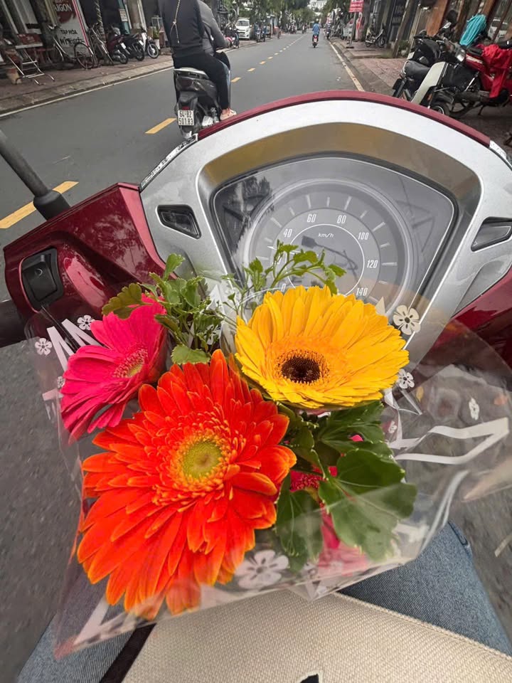 Biệt thự Vĩnh Long 500m² giá 9 tỷ - Đầu tư sinh lời cho tương lai!