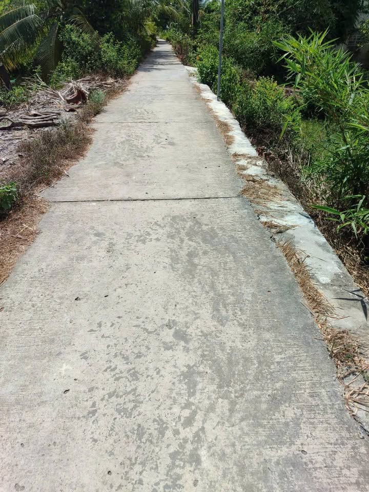 Đất nông nghiệp Tân Long Hội 6400m² giá 774 triệu - Đường rộng 30m thuận lợi!