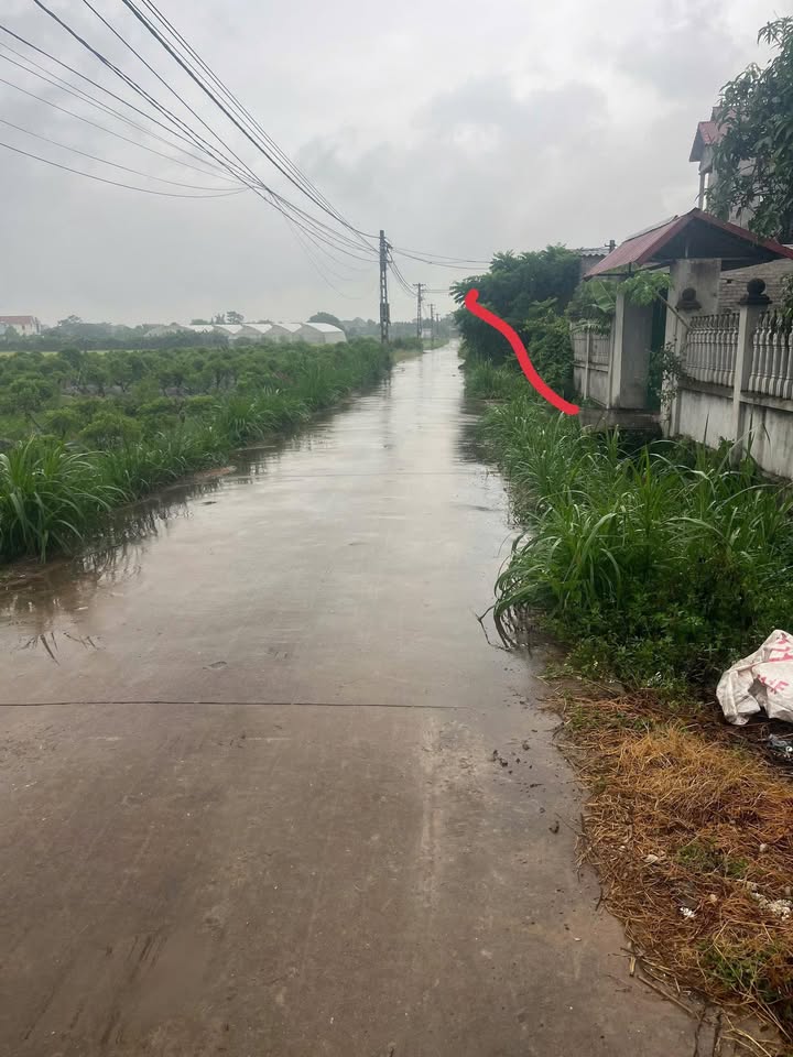 Đất Ngọc Châu Tân Yên 130m² giá 9xx triệu - View cánh đồng thoáng mát!