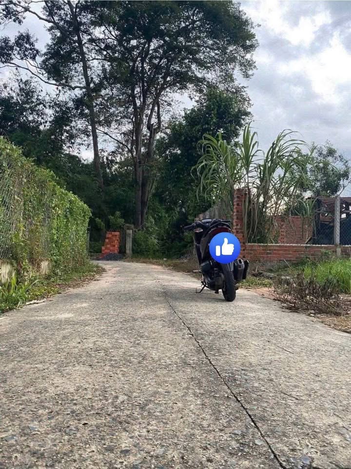 Đất nền Thanh Trung, Thanh Điền, Châu Thành 250m² giá chỉ 5xx triệu - Cơ hội đầu tư hiếm có!