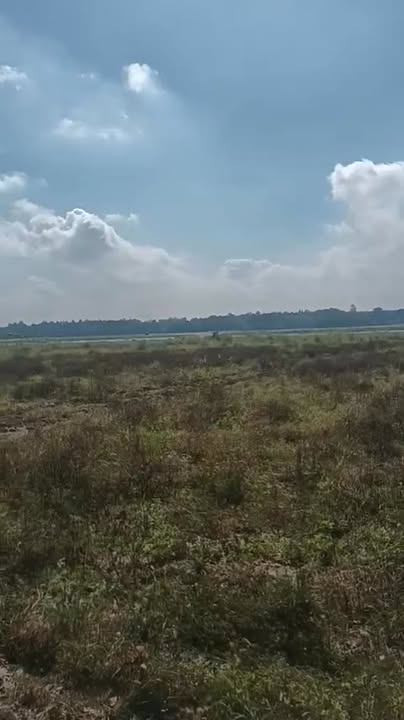 Đất farm 2.9ha tại Thạnh Đông, Tân Châu, Tây Ninh - Giá thỏa thuận hấp dẫn!