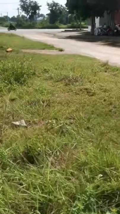 Đất đấu giá Nghĩa Đàn 156m² giá 1.5 tỷ - Vị trí đắc địa, giao thông thuận lợi!