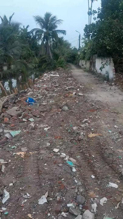 Đất nền chính chủ Đoàn Xá, Kiến Thụy 118,6m² - Tiềm năng đầu tư lớn!