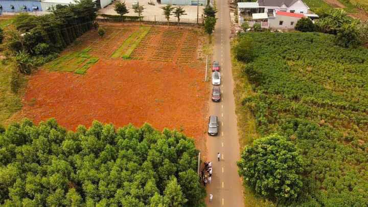 Đất nền đường Cách Mạng Tháng Tám, Thị Trấn Đất Đỏ 162m² giá 1.2 tỷ - Sổ đỏ chính chủ, cơ sở hạ tầng hoàn thiện!