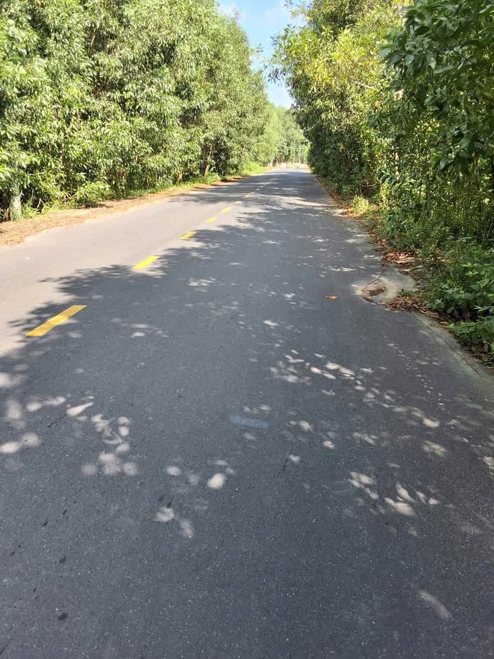 Đất mặt tiền 1800m² tại Tam Phước, Long Điền chỉ 2.15 tỷ - Đầu tư sinh lời!