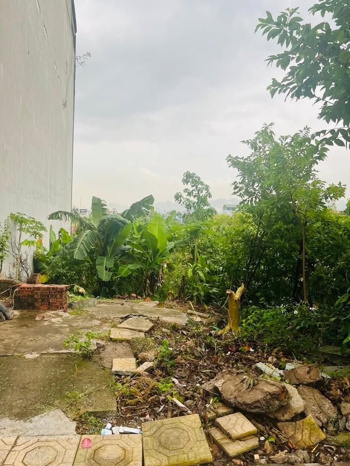 Đất nền mặt đường Lý Thường Kiệt, Phù Vân, 95m² giá 4.6 tỷ - Đầu tư sinh lời ngay!