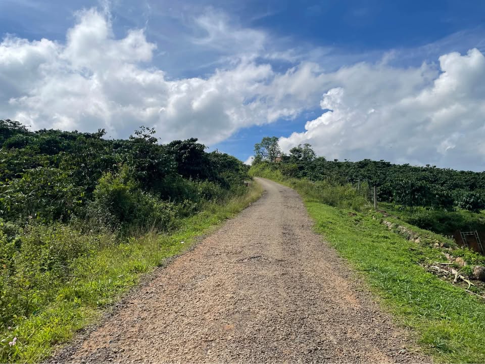 Đất Farm Di Linh 2.200m² giá 2 tỷ - Tiềm năng nghỉ dưỡng lớn!