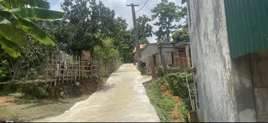 Đất thổ cư 300m² tại xã Xuân Đài, Tân Sơn - Chỉ 200 triệu - Sổ đỏ chính chủ!