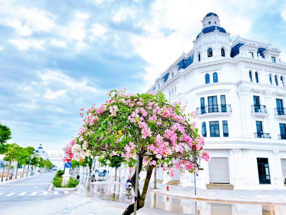 Dự án Danko Center Tuyên Quang 427000m² - Đầu tư sinh lời ổn định!