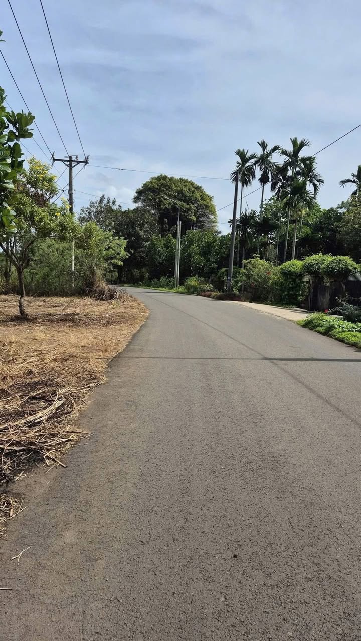 Đất nền mặt tiền đường nhựa ấp 4, phường Bình Lộc 161m² giá 1.2 tỷ - Sổ riêng thổ cư