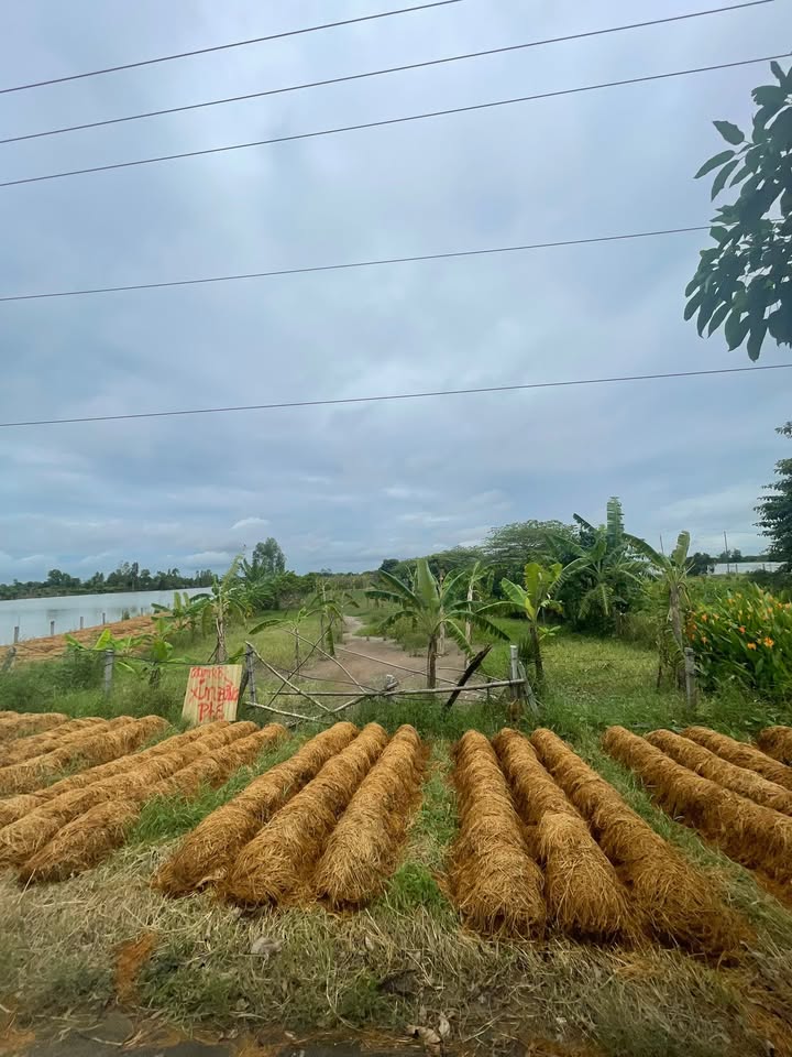 Đất vườn 2.843m² tại P Mỹ Thới - Gần đường Tây An Bờ Hồ, giá thỏa thuận!