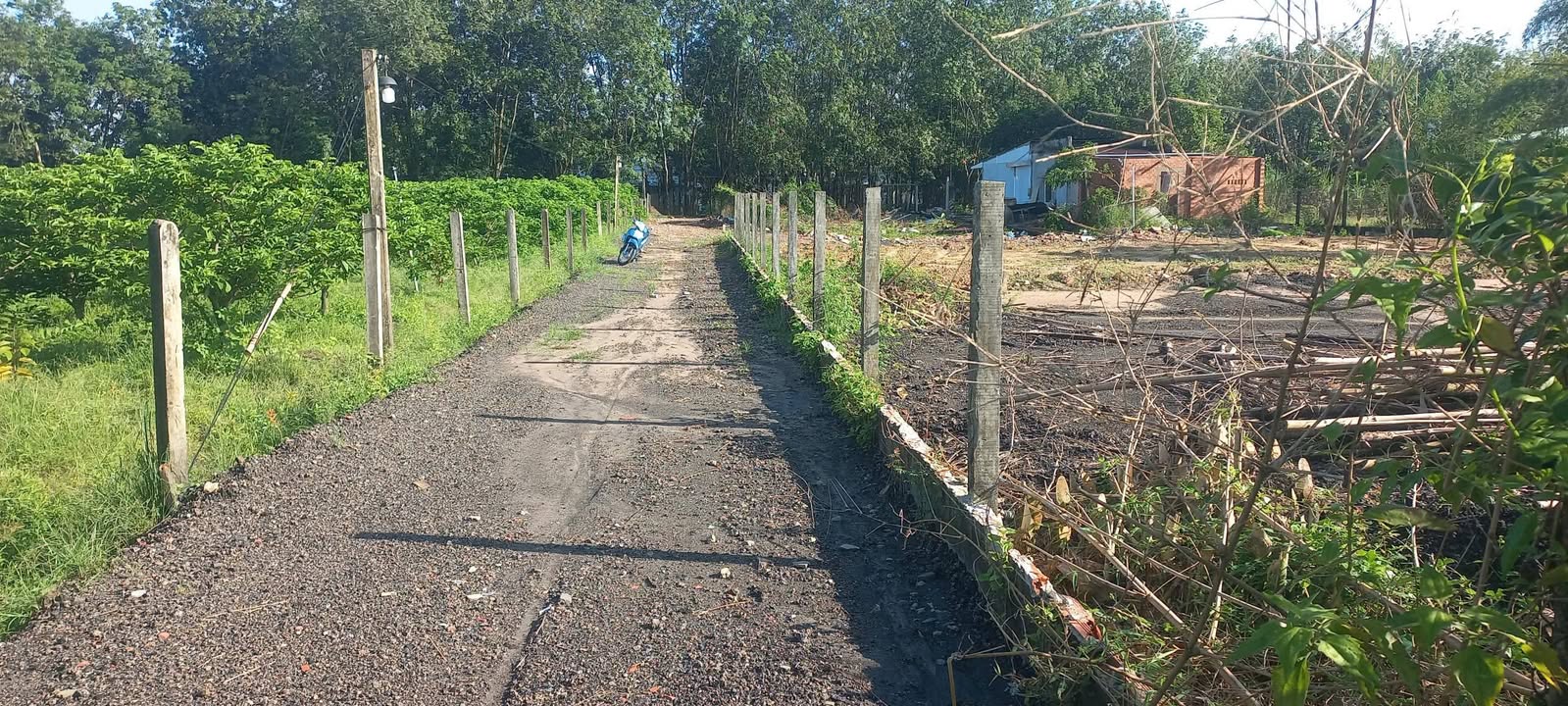 Đất thổ cư 125m² tại Bình Minh, Tây Ninh - Giá chỉ 350 triệu, thương lượng!