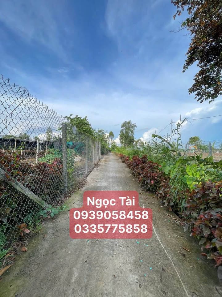 Đất nông nghiệp Long Thắng, Lai Vung 1000m² giá 600 triệu - Cơ hội đầu tư tuyệt vời!