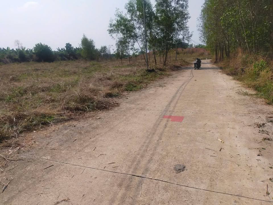 Đất sổ đỏ 3687m² xã Bàu Hàm, Trảng Bom, Đồng Nai - Giá chào 12.9 tỷ!