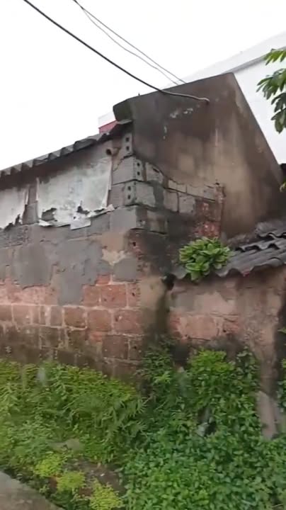 Đất thổ cư 215m² tại thôn Cát Tường, Bình Mỹ - Giá chỉ 860 triệu