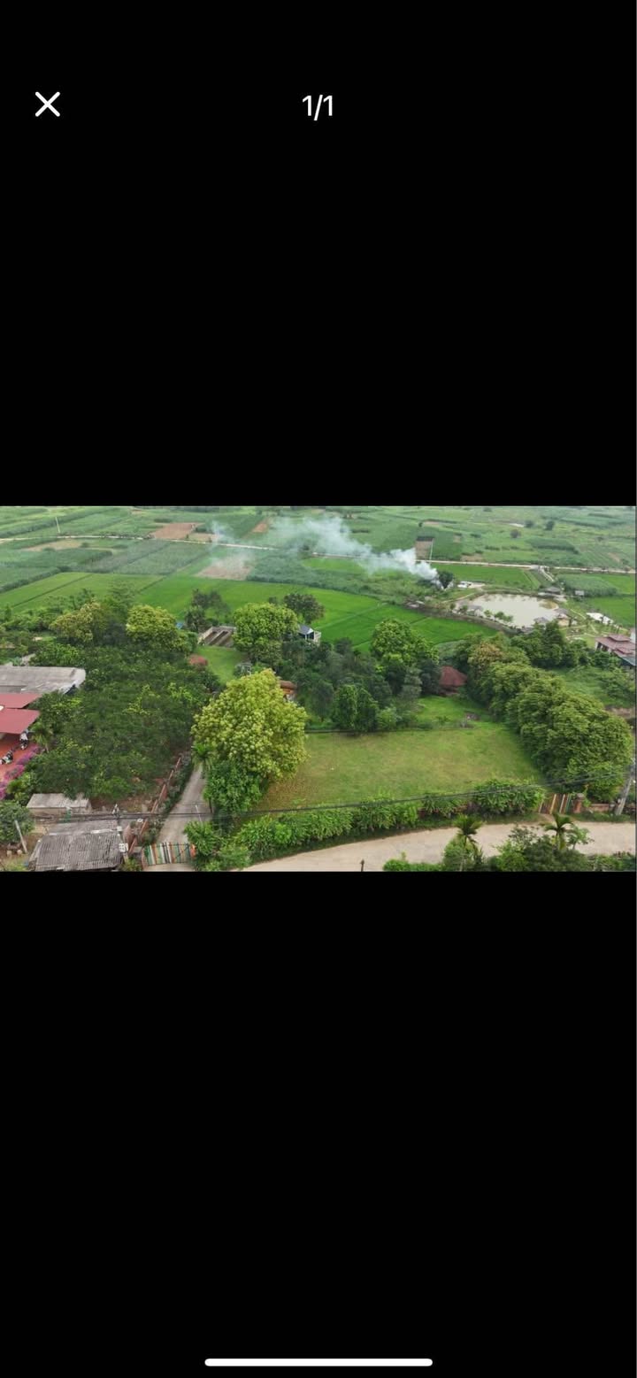 Đất ở Yên Bài Ba Vì 1900m² giá 15.2 tỷ - View cánh đồng lúa tuyệt đẹp!