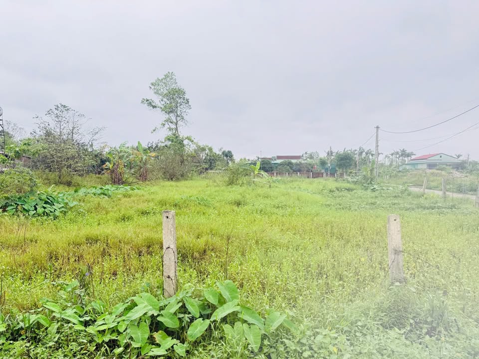 Đất nền Cẩm Xuyên 200m² giá 1 tỷ - Đường Lê Lợi chỉ 50m!