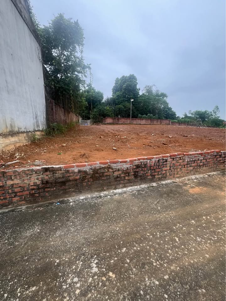 Đất nền Thanh Đình Việt Trì 90m² giá chỉ 600 triệu - Cơ hội đầu tư hiếm có!