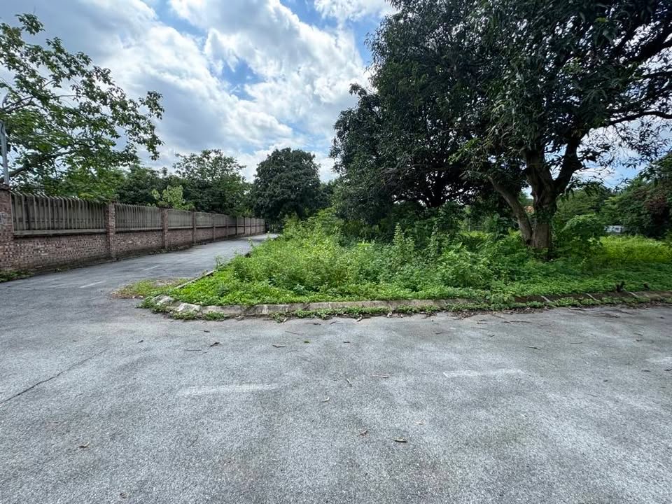 Đất nền Kim Anh, Sóc Sơn 104m² giá 1.75 tỷ - Sổ đỏ chính chủ giao ngay!