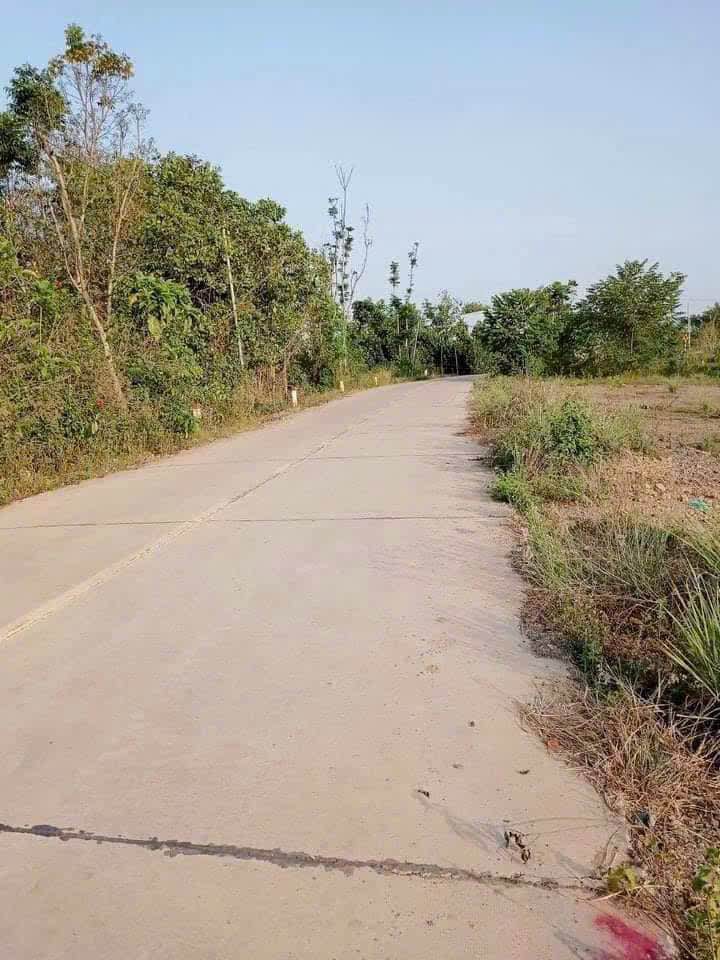 Đất mặt tiền bê tông lớn tại Phú Lâm, Tân Phú - Diện tích 1248m² giá 124.8 tỷ!