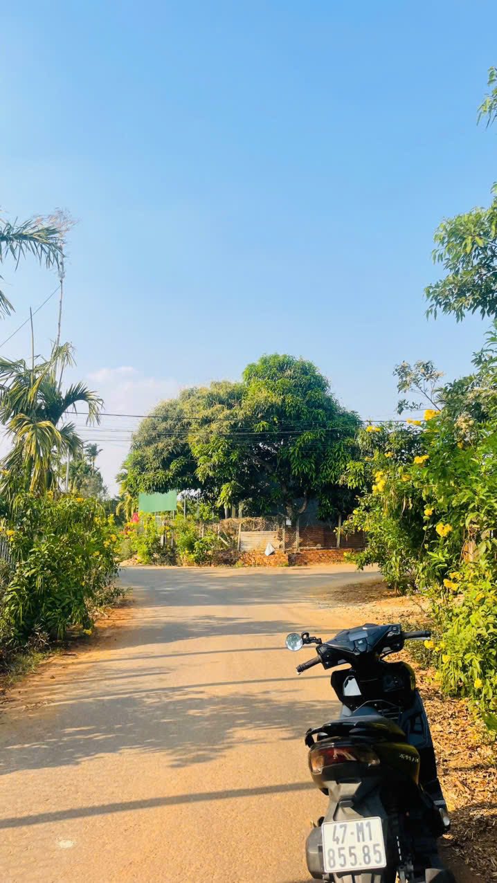 Đất nền Hẻm C1 Đường Võ Nguyên Giáp 147m² giá 1.75 tỷ - Đầu tư sinh lời ngay!