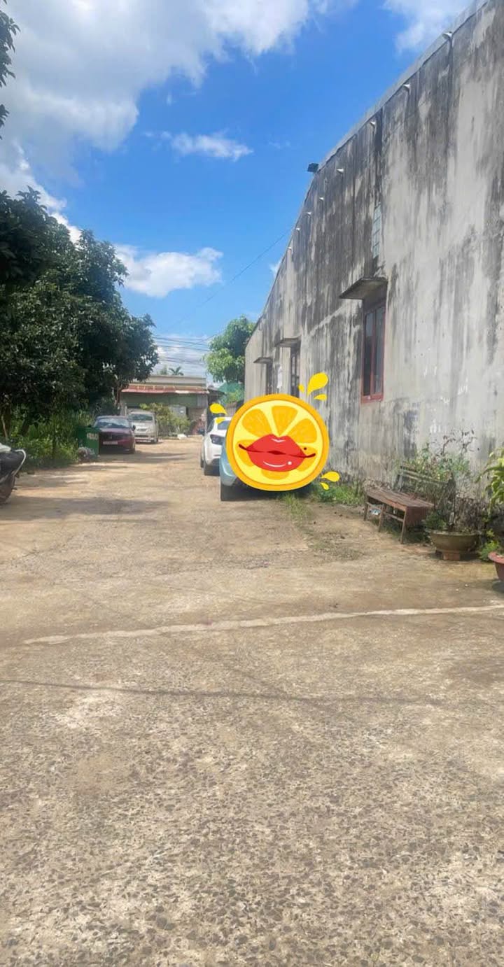 Nhà cấp 4 Y Moan, Tân Lợi, Buôn Ma Thuột 104m² giá 1.75 tỷ - Kinh doanh thuận lợi!