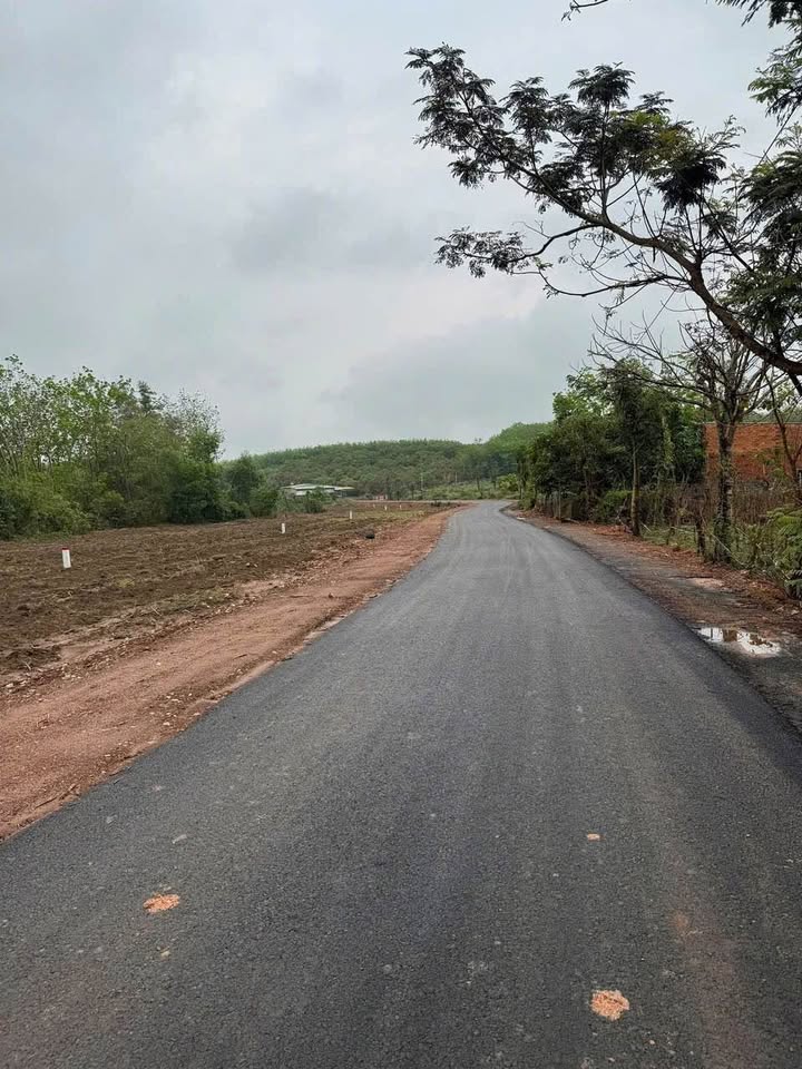 Đất nền Tân Thành, Đồng Xoài 200m² giá thỏa thuận - Đường nhựa lớn thuận tiện giao thông!