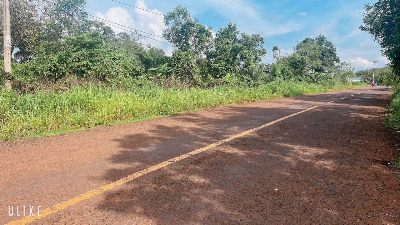 Đất nền mặt tiền Tân Phước, Đồng Phú 250m² giá chỉ 2xx triệu - Cơ hội đầu tư tốt!