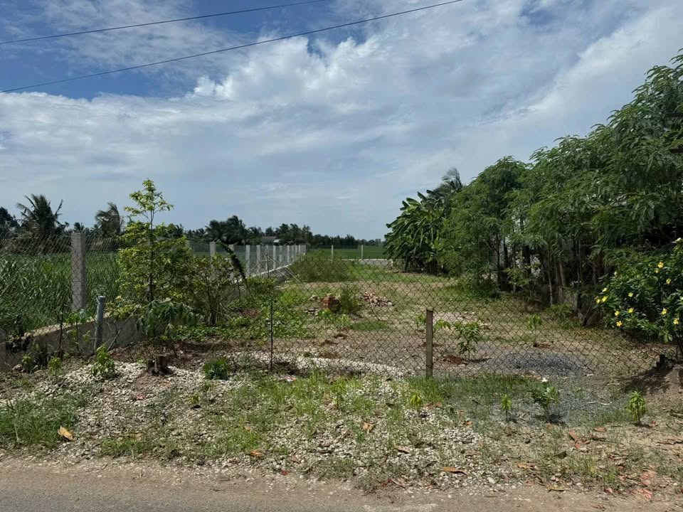 Đất mặt tiền Quốc Lộ 53, Phước Hảo, Châu Thành, Trà Vinh 516m² - Giá chỉ 30.96 tỷ, thương lượng tốt!