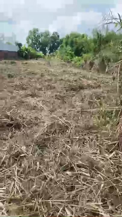 Đất nền Tân Phú Đông, Sa Đéc 2065m² giá 8.26 tỷ - Vị trí đắc địa cho đầu tư kho xưởng!